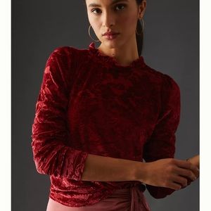 ⬇️ Sale ❤️NWOT Anthropologie Velvet Blouse